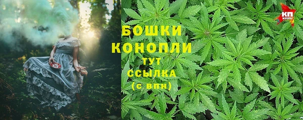 ГАЛЛЮЦИНОГЕННЫЕ ГРИБЫ Аркадак