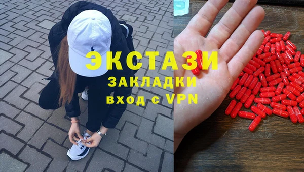 ГАЛЛЮЦИНОГЕННЫЕ ГРИБЫ Аркадак