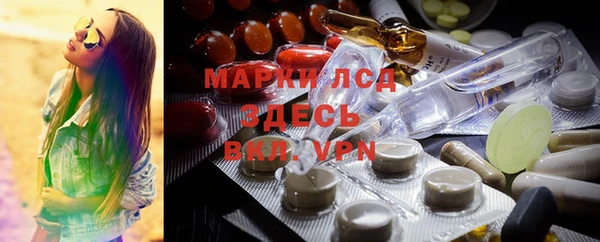 ГАЛЛЮЦИНОГЕННЫЕ ГРИБЫ Аркадак