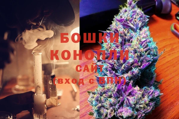 ГАЛЛЮЦИНОГЕННЫЕ ГРИБЫ Аркадак