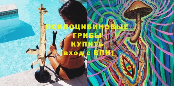ГАЛЛЮЦИНОГЕННЫЕ ГРИБЫ Аркадак