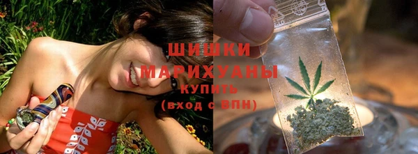 ГАЛЛЮЦИНОГЕННЫЕ ГРИБЫ Аркадак