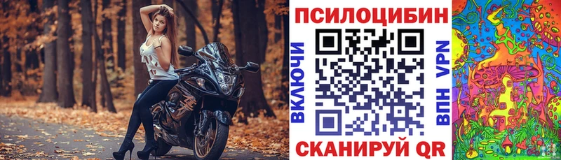 купить наркотик Палласовка гидра зеркало Псилоцибиновые грибы Psilocybe